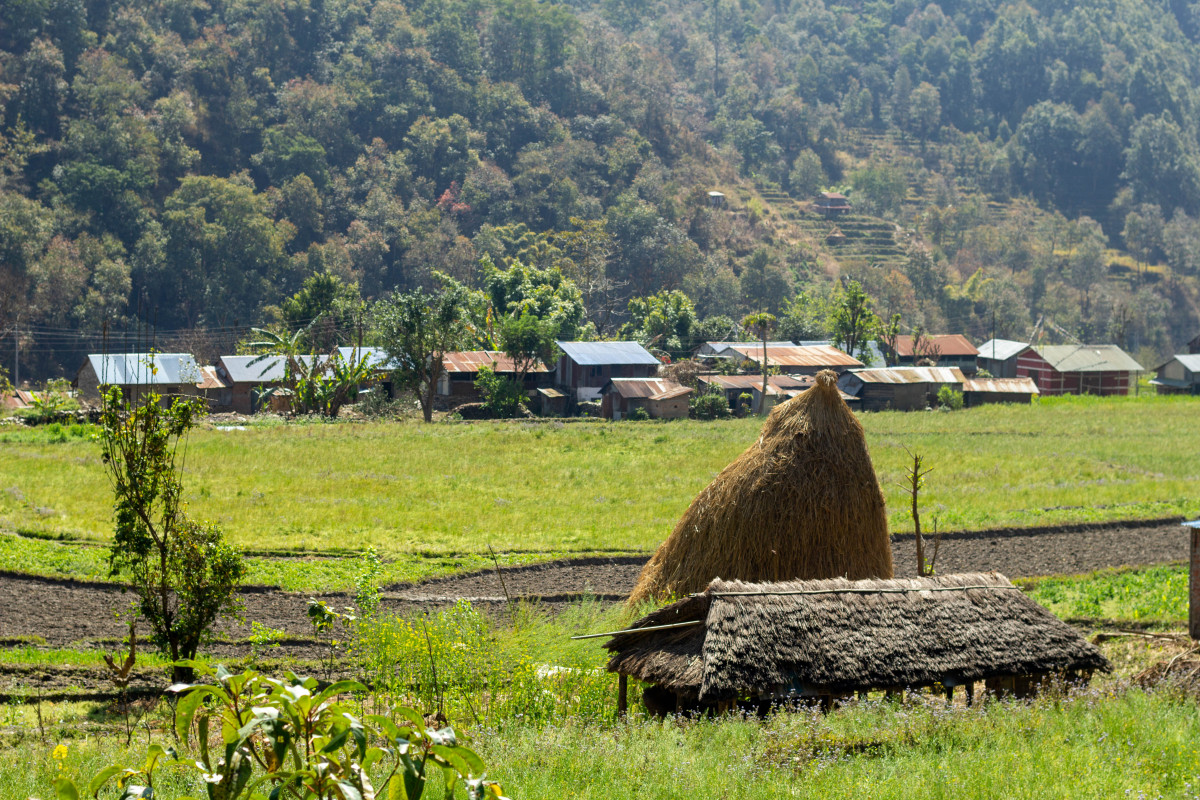 Cultural Preservation